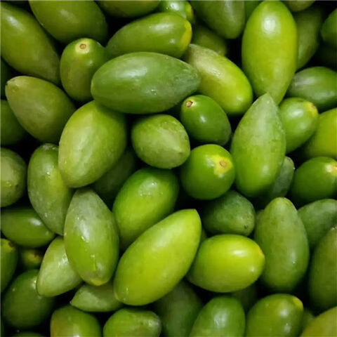 香甜橄榄新鲜青橄榄果特甜现摘现发生吃酥脆无渣金灶当季孕妇水果3斤