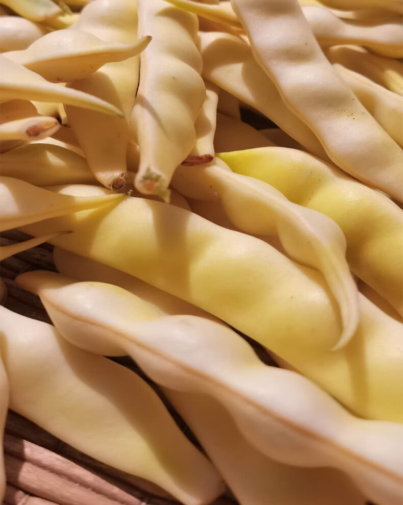 东北新鲜黄豆角勾勾黄油豆角兔子翻白眼黄金勾钩豆角蔬菜现摘 2500g