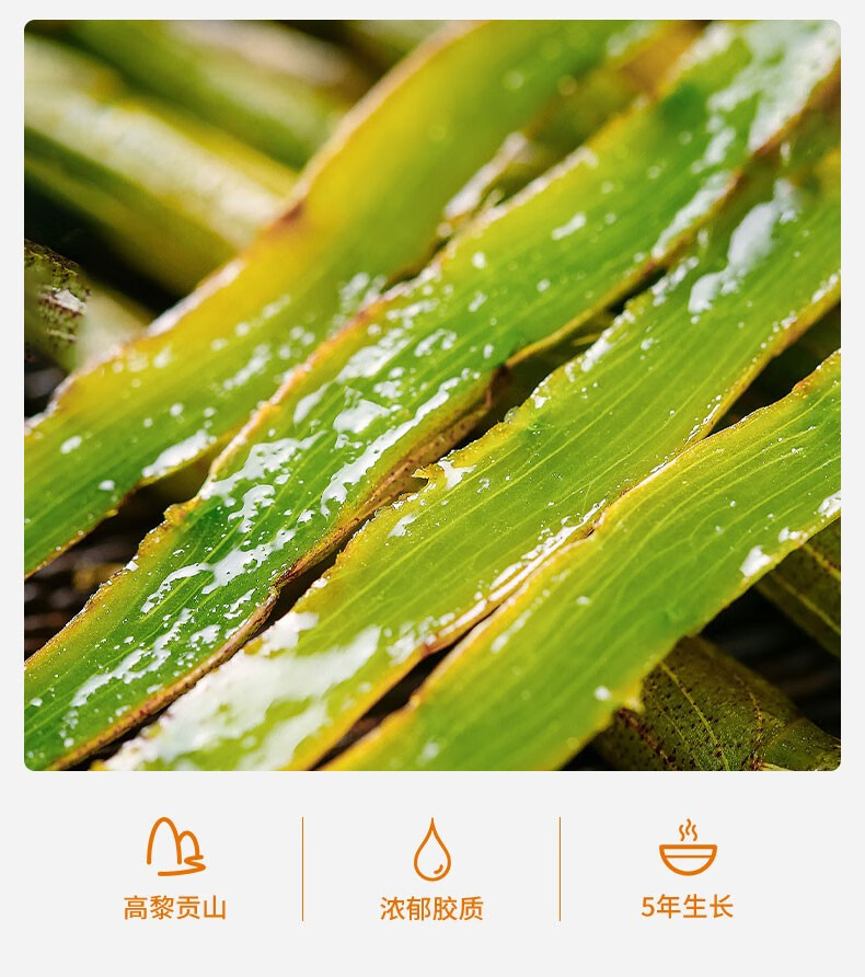 云南紫皮铁皮石斛原浆汁口服液官方旗舰店礼盒装滋补功效 品鉴一盒装