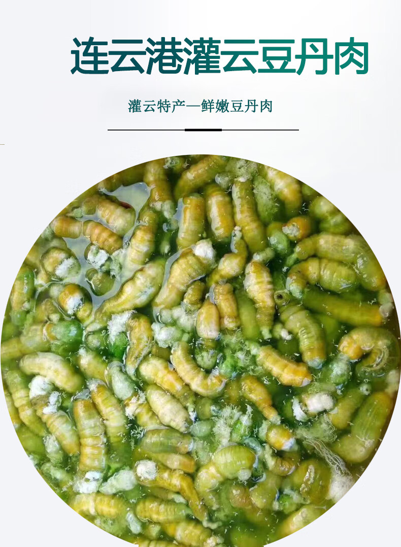 連雲港新鮮特產現擀豆丹肉食用豬兒蟲豆青蟲芝麻蟲豆單大青蟲 1瓶