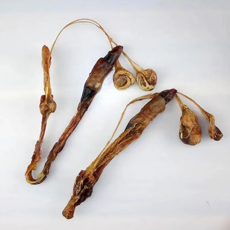 海狗鞭海鹿鞭狗鞭泡酒的药材煲汤料泡酒料男性整根嘉万滋补鹿鞭切片