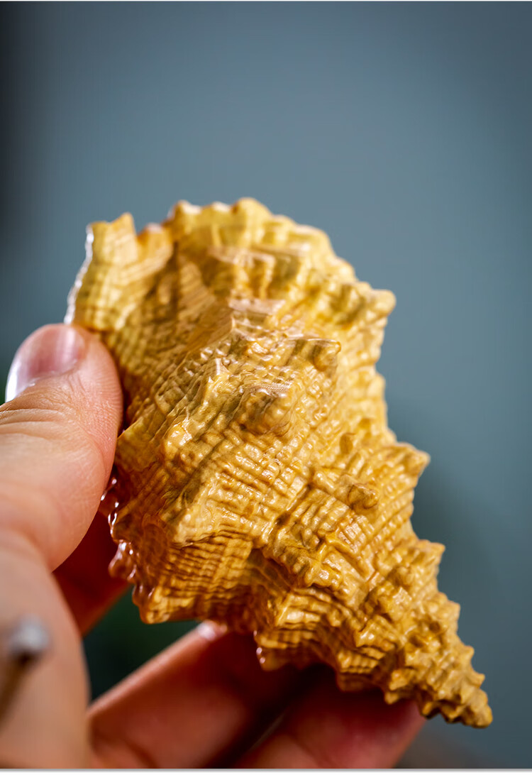 梵鸣 木雕手把件创意海螺文玩男士随身把玩家居饰品中式实木工艺品