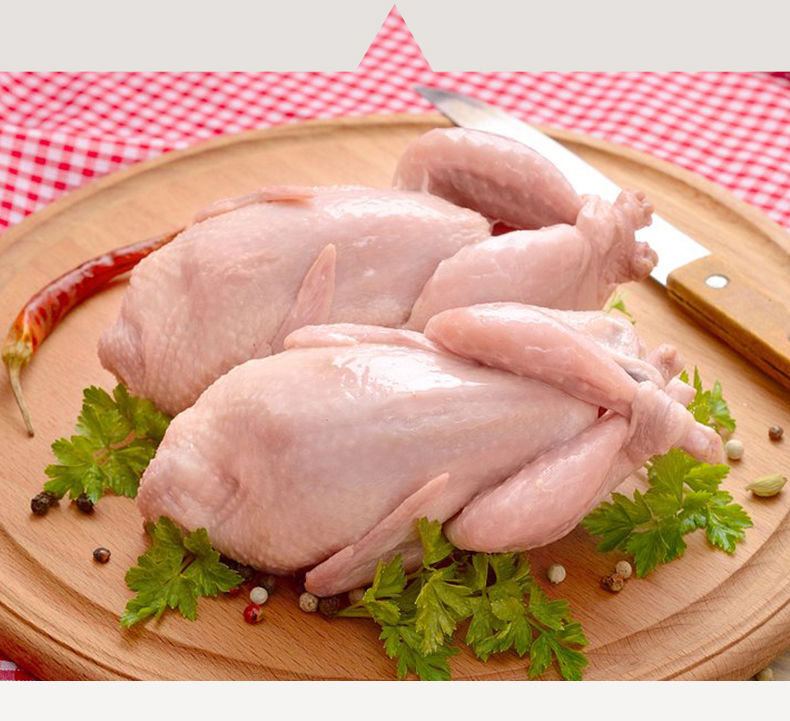 新鲜现杀鹌鹑肉1020只装孕妇煲汤老人营养优选放血大鹌鹑肉老鹌鹑20只