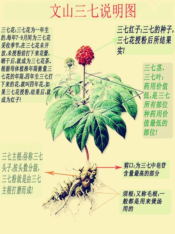 c399ccc2ffd23d2e.jpg