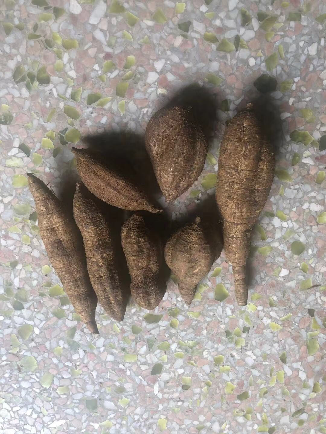 牛大力野生新鲜中药材现挖广东汤料500g特级大力薯根泡酒材料小黑牛