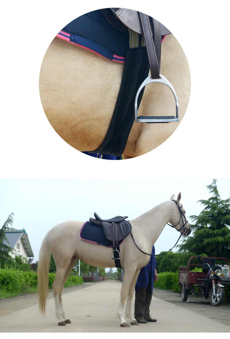 马匹装备马肚带英式肚带综合鞍障碍鞍肚带马术骑马肚带八尺龙马具马匹