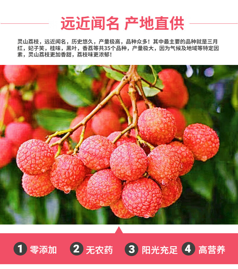 顺丰ems空运广西特产灵山荔枝三月红荔枝新鲜酸甜爽口现摘现发当季