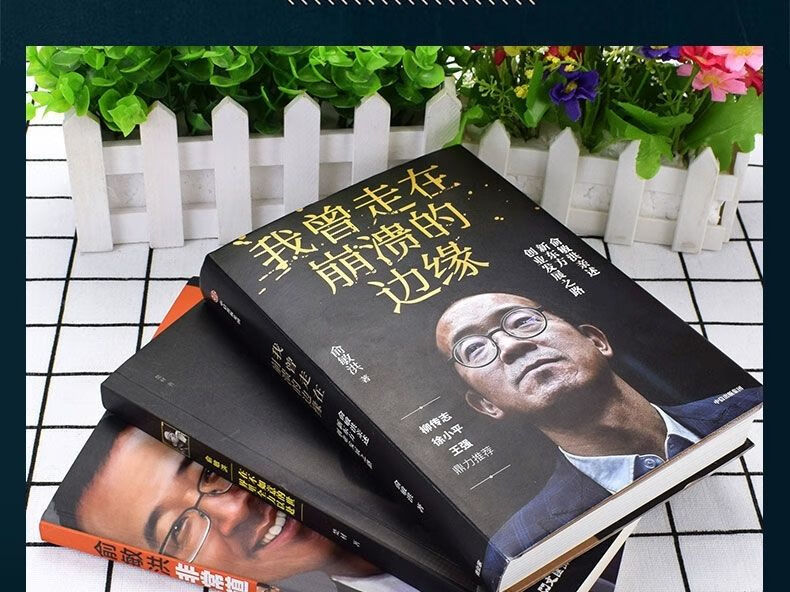 我曾走在崩溃的边缘 拼图模型 俞敏洪三部曲崩溃的边缘我在痛苦中前行