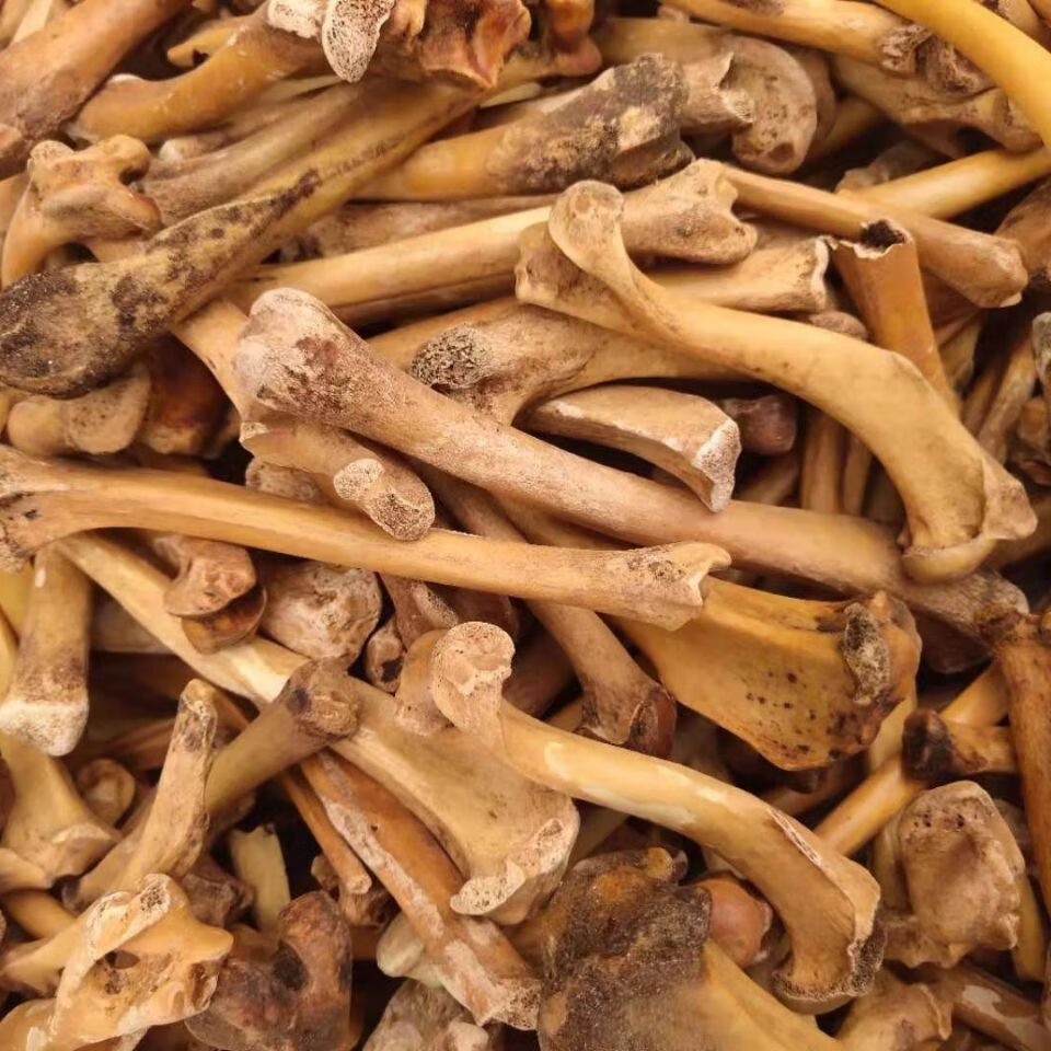 北京同仁堂原料中药材狗骨头粉煅狗骨头炒制狗骨头粉