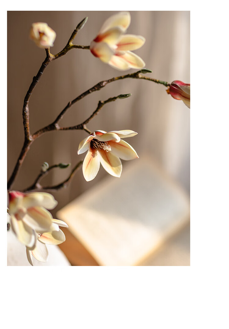 掬涵仿真玉兰花高端假花插花客厅餐桌花摆花会所装饰花艺摆件古典65cm