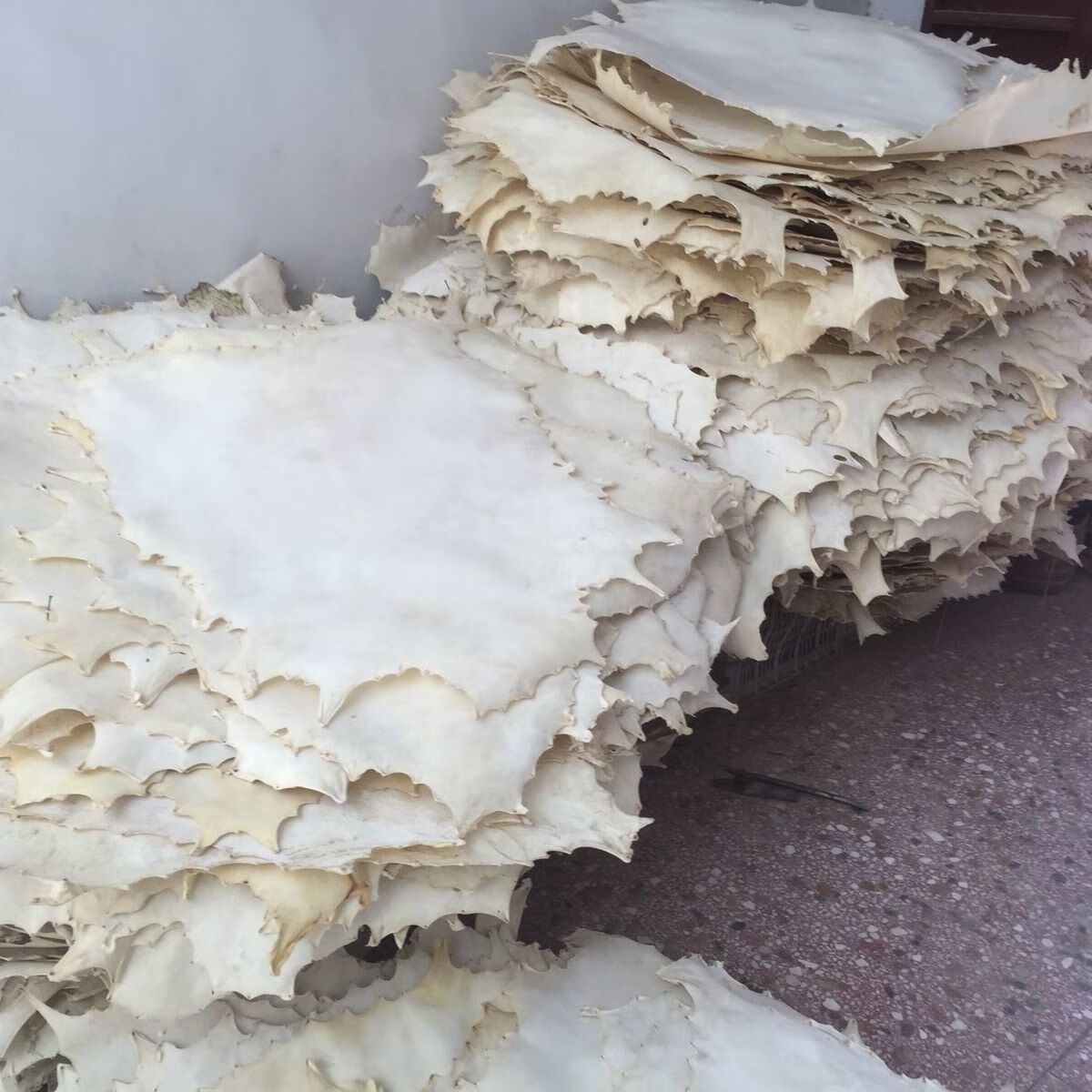 羊皮鼓皮非洲鼓鼓皮定制山羊皮黄牛皮整张羊皮邦戈羊鼓皮 羊皮 60厘米