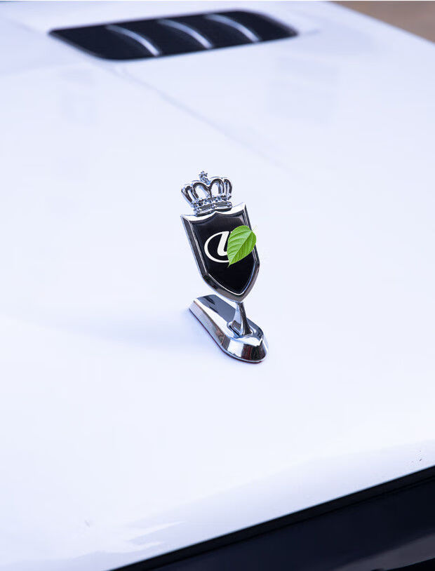 适用雷克萨斯rxnxuxct立标改装配件装饰外观车标贴前脸引擎机盖贴