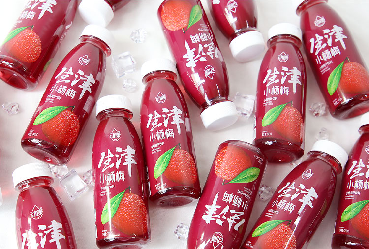 小杨梅汁饮料瓶装风味酸梅果蔬汁水果饮料夏日饮品 生津小杨梅2瓶*290