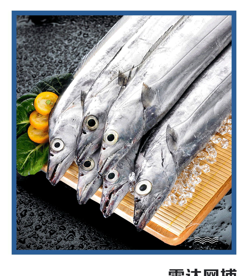 星龙港 国产舟山带鱼礼盒/提货卡券礼券 春节年货过年送礼礼品 慰问品