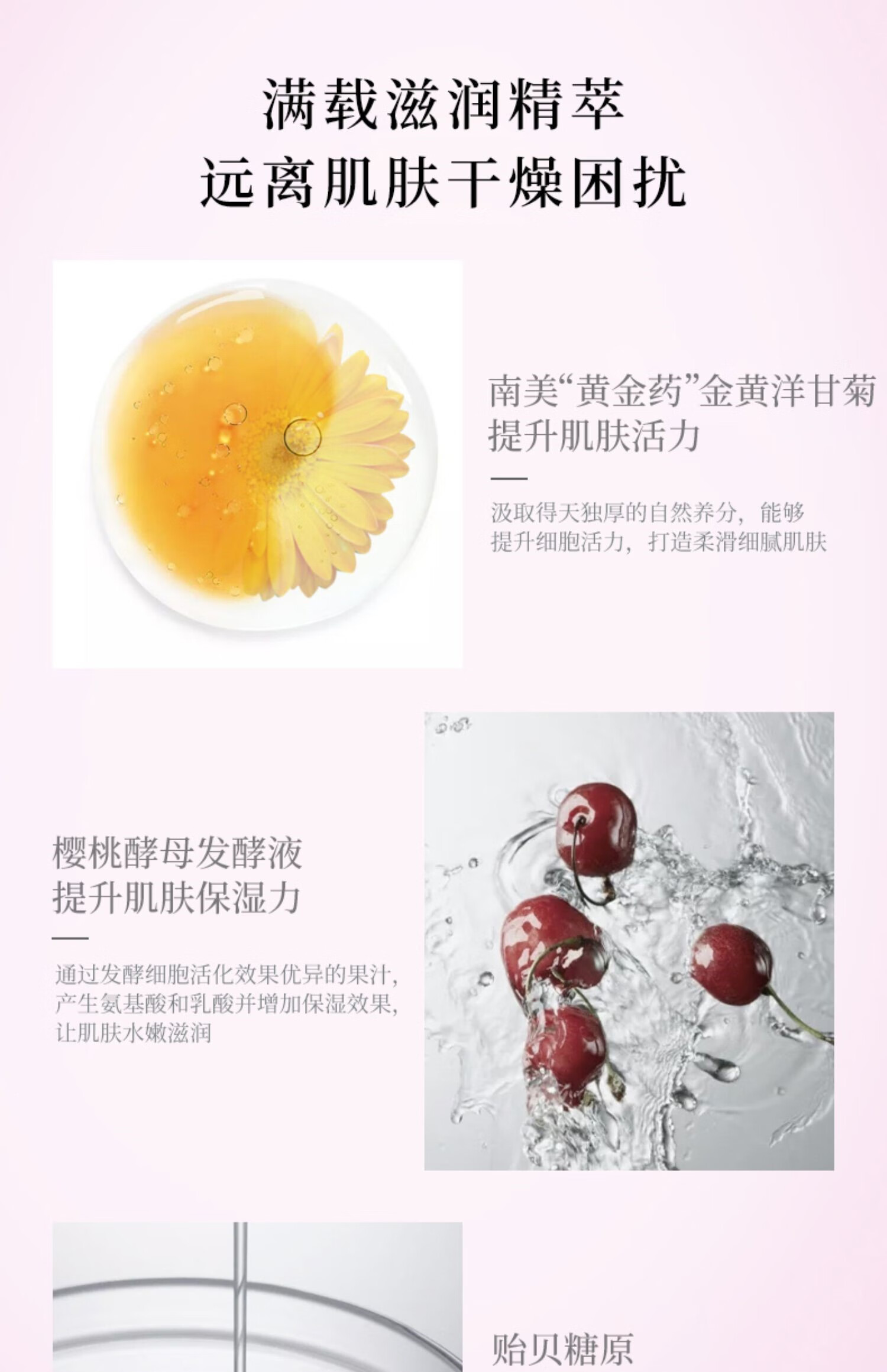 奥尔滨（ALBION）albion奥尔滨健康水小样渗透乳中样水乳套装控油补水保湿紧致毛孔 健康水12ml*2+保湿中样乳29g