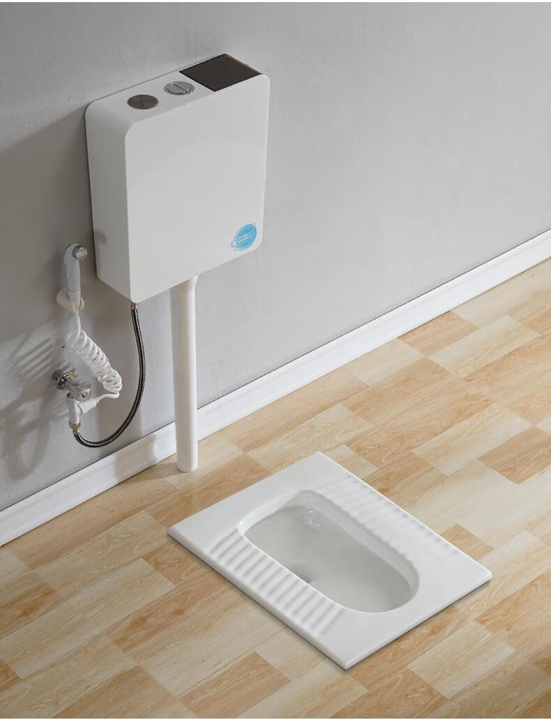 博帝熙家用蹲便器冲水箱整套装卫生间防臭大便厕所蹲坑式便池小尺寸b