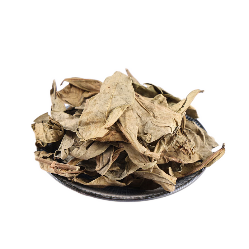 药声录 中药材 龙利叶 龙俐叶龙脷叶 龙舌叶龙