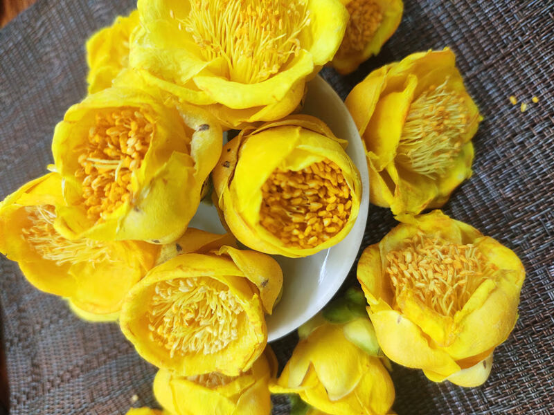 2021新货广西金花茶防城港金花茶50g防普冻干花茶干花100克瓶装