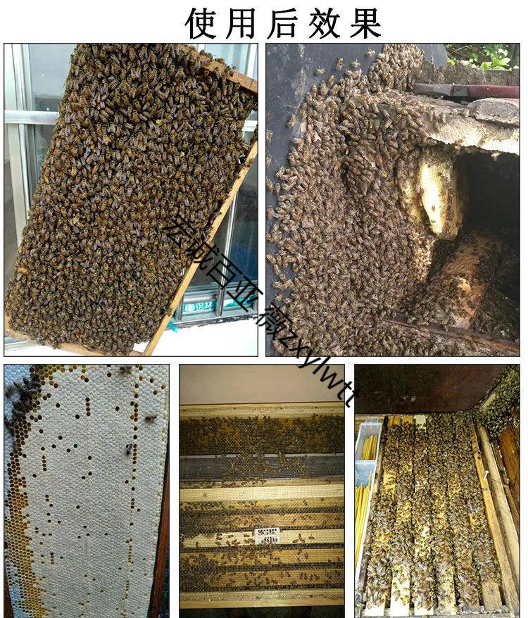 中囊烂子清中蜂烂子康蜜蜂烂子病药囊状幼虫病烂子克星烂子灵养蜂1