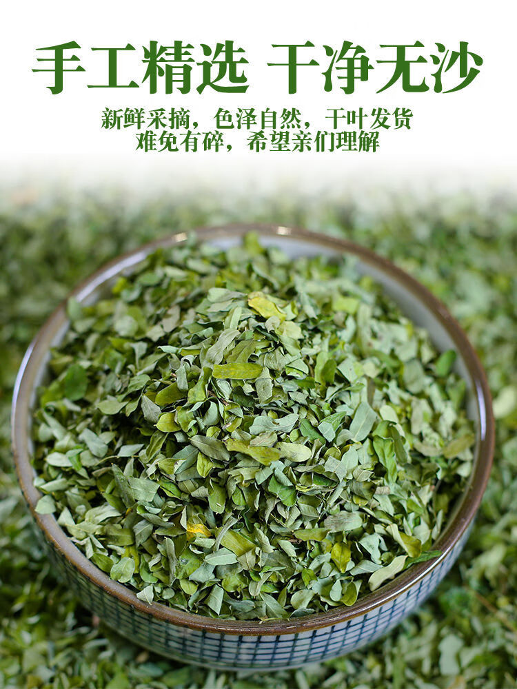 广西野生鸡骨草带叶鸡骨草藤茶叶新鲜干品煲汤泡茶中药材可切段 官方