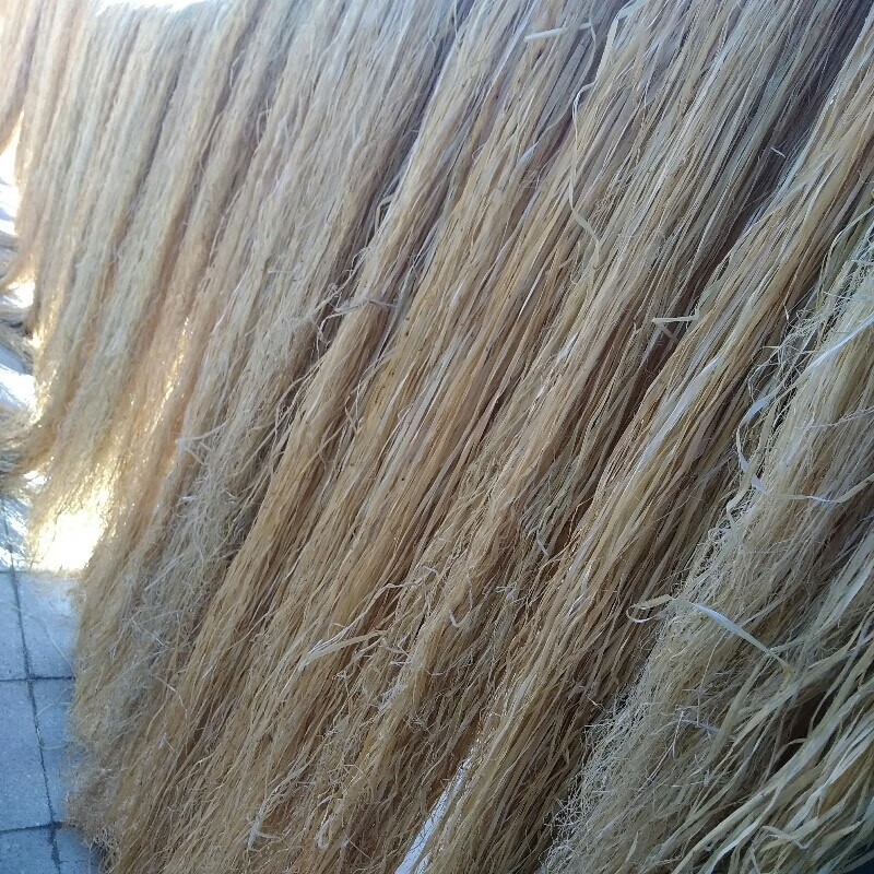 线麻丝油麻丝消防工程管道水暖安装管件丝口密封黄麻丝 普通麻丝2捆8