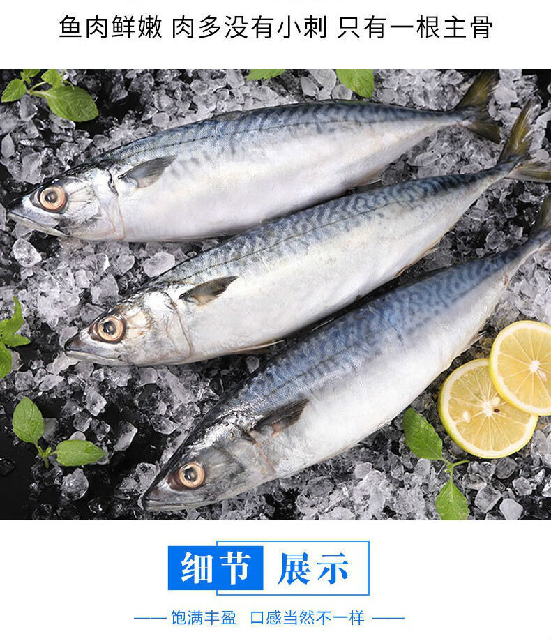 鲐鱼新鲜鲐鲅鱼青占鱼青花鱼海捕新鲜青花鱼海鲜水产莫尔加德7斤装