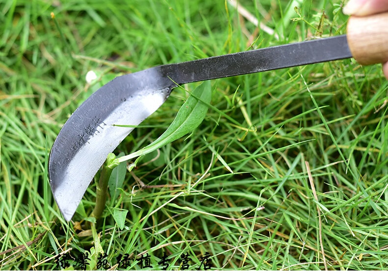复合钢小镰刀割韭菜连刀钓鱼链刀除草农用刀全钢小号割草刀蛇颈复合钢