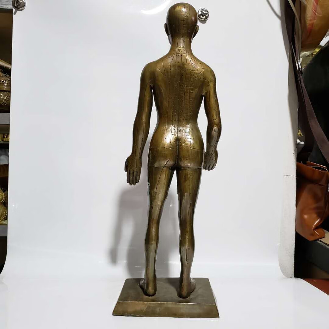 男女模型铜人艾灸经络图中医药王医馆展示摆件黄铜针灸女铜人高49厘米