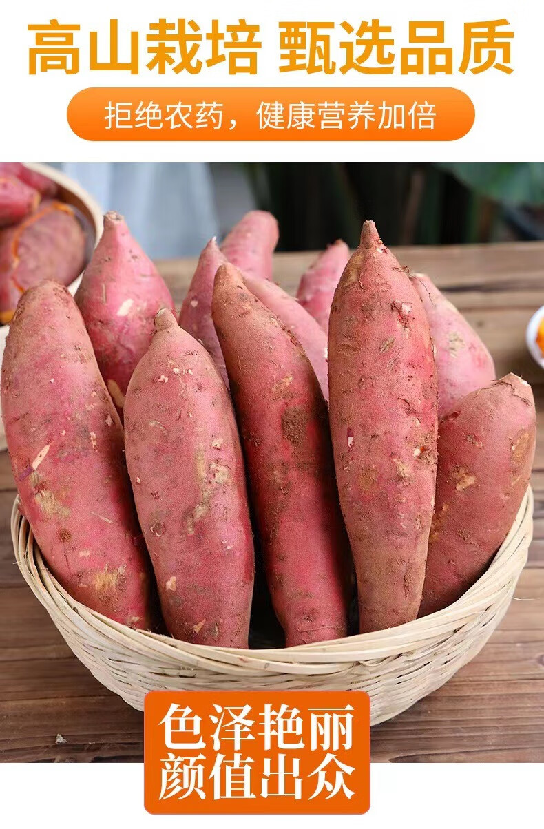 现挖红薯龙九红薯10斤装板栗红薯蜜薯沙地番薯农家自种地瓜新鲜蔬菜烤