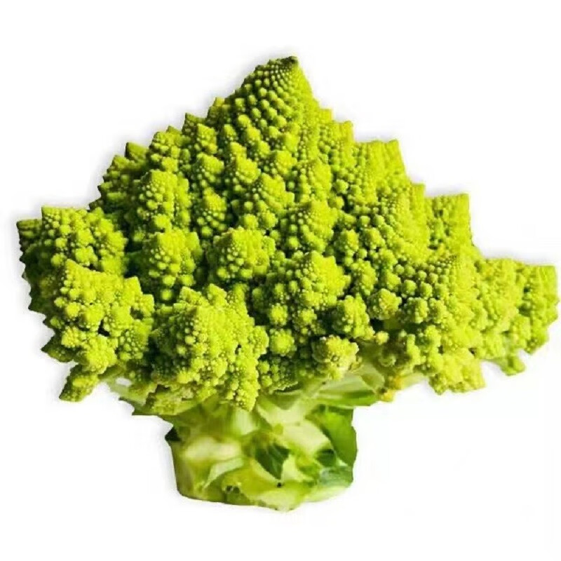 新鲜宝塔花菜新鲜蔬菜罗马花椰菜特种蔬菜酒店配菜时令蔬菜 800克一颗