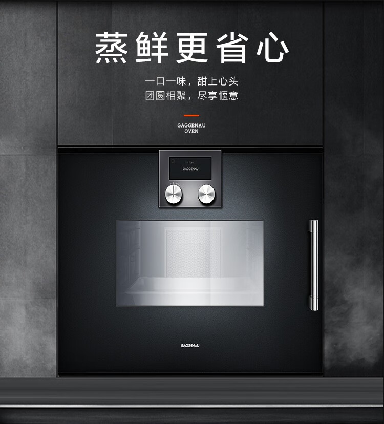 嘉格纳/gaggenau 嵌入式蒸箱200系列全玻璃门蒸汽炉电蒸箱蒸汽烤箱