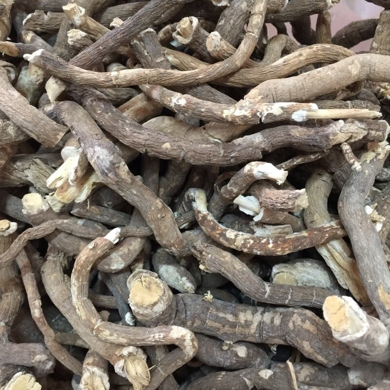 潽禧草堂 中药材 独行千里 别名:扣钮子 落地金鸡