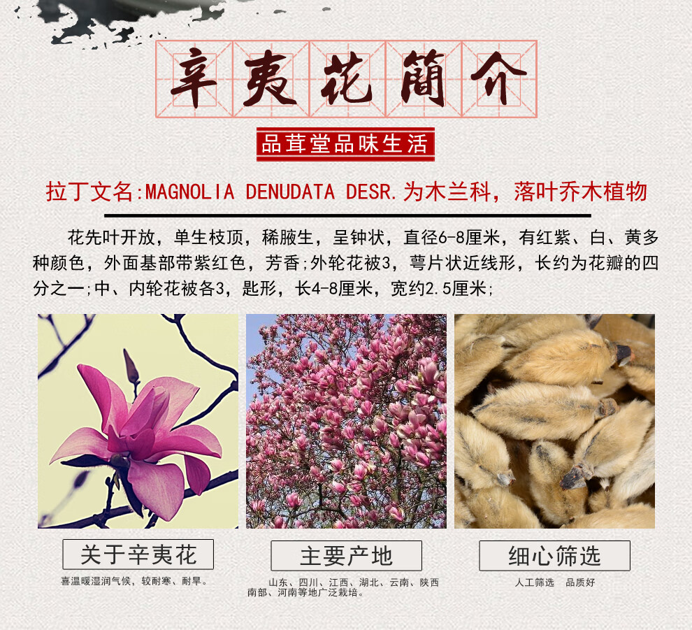 品茸堂 辛夷花 辛夷花茶 木笔花 望春花 玉兰花 木兰花 辛夷花 100g