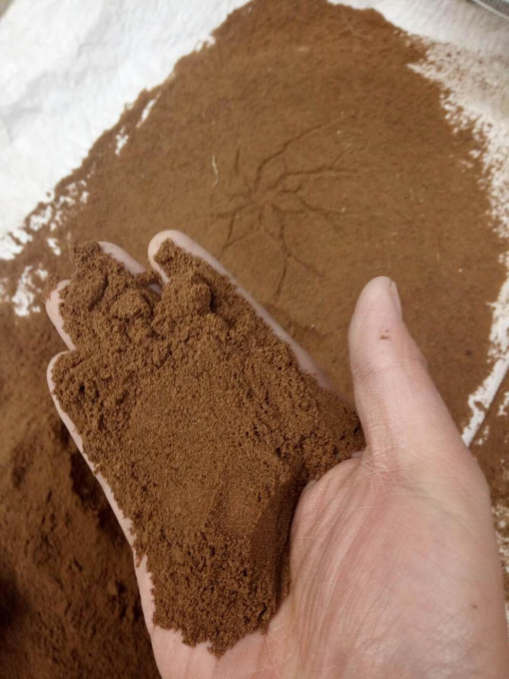 沙土种植细沙土种植土多肉配土沙质土沙壤土沙土盆栽盆景通用沙土壤