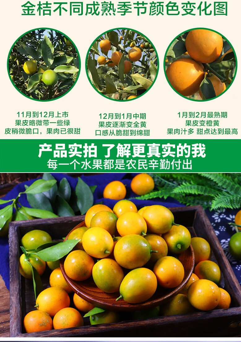 (绿色水果)广西融安金橘滑皮金桔小金橘年货礼盒水果柑橘当季生鲜