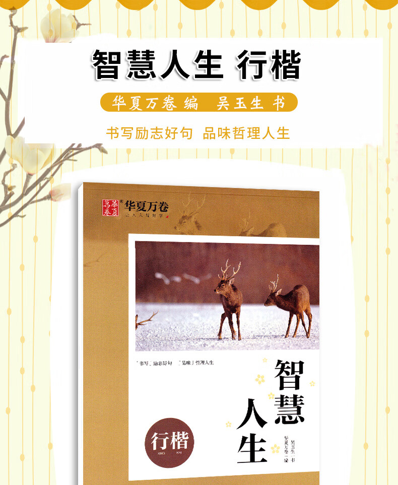 华夏万卷智慧人生行楷字帖 吴玉生书小学3456年级初中生适用经典行楷