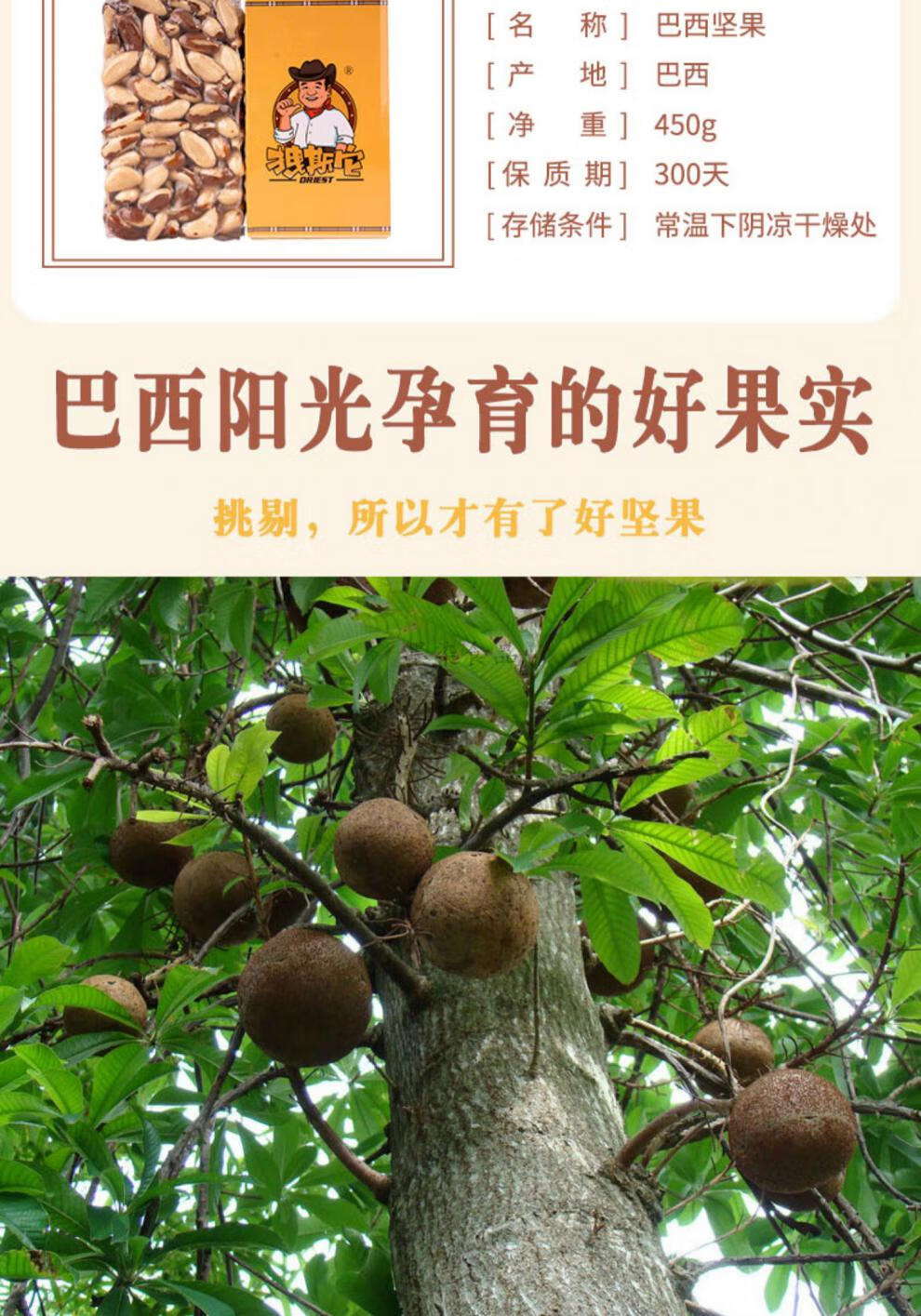 8折巴西坚果仁450g原味进口鲍鱼果仁沙漠果无添加孕妇休闲零食淡盐熟