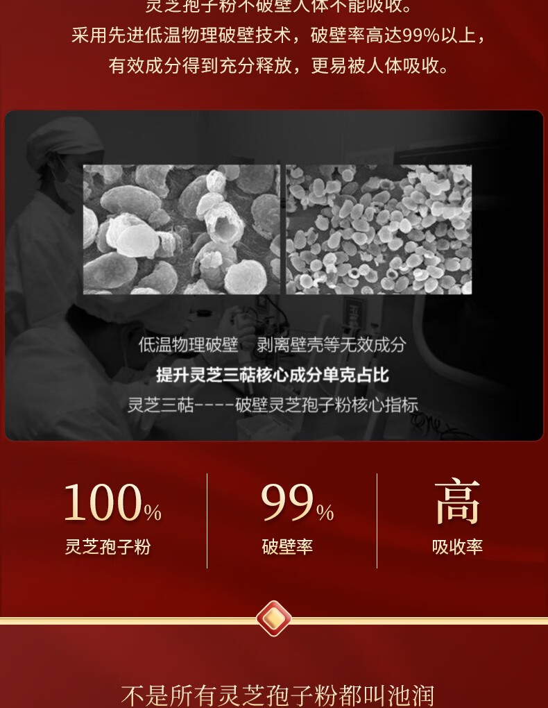 灵芝三萜55g池润破壁灵芝孢子粉长白山增强免疫力富含孢子油10g36包盒