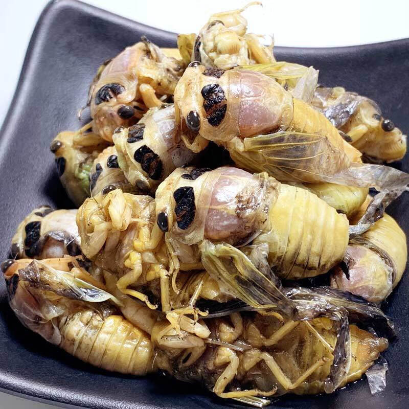 沙地梨园油炸白知了猴美味白蝉褪壳嫩爬叉香酥昆虫虫子 椒盐味18只