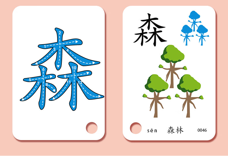 识字卡片宝宝早教3000字幼儿园学龄前儿童玩具启蒙认字卡片象形字定制