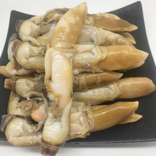 丹东东港新鲜蛏子肉鲜活蛏子新鲜蛏子蛏子肉海鲜水产一份3斤 20斤装