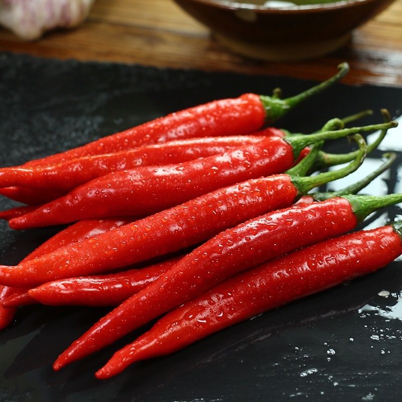 贵州本地新鲜青红辣椒美人椒微辣小辣椒做剁椒中辣露天现摘现发【10月