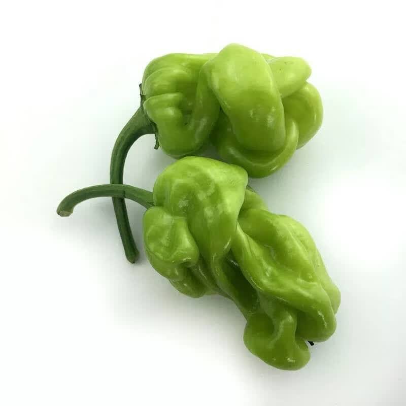 媚调云南特产新鲜皱皮辣虎皮辣椒青辣椒清脆新鲜蔬菜圆椒3斤装 1000g