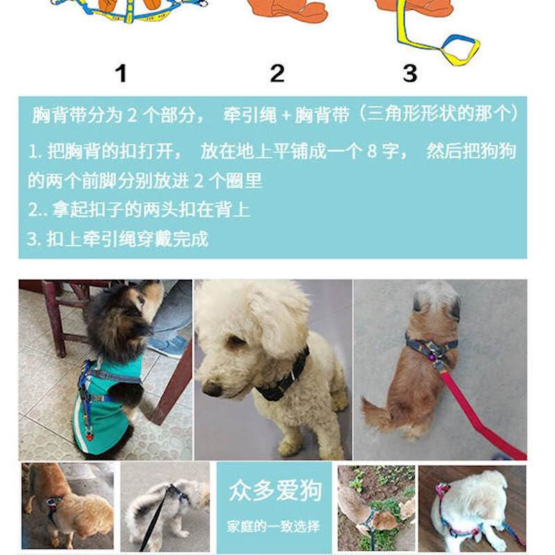 小型犬牵引绳佩戴方法图片