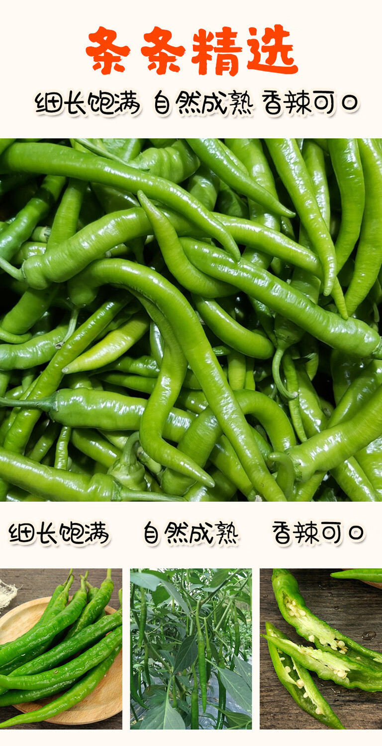 二荆条现摘新鲜青辣椒批发中辣微辣露天线椒 3斤【图片 价格 品牌
