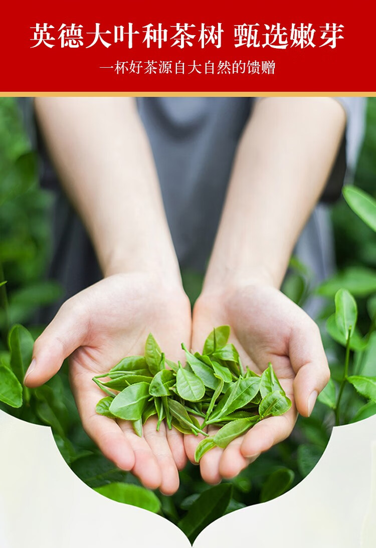 英红九号英九正宗浓香红英茶叶英雄1959袋装500g豆乐奇【图片 价格