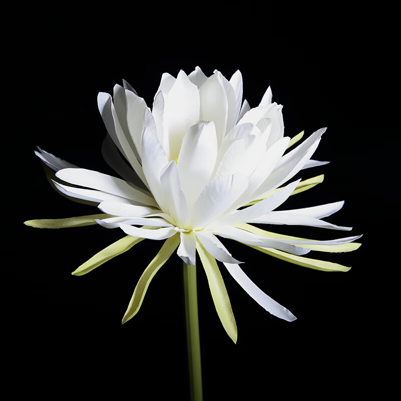 手拿装饰花仿真彼岸花假花古风摄影拍照道具仿真昙花假花手持昙花白色