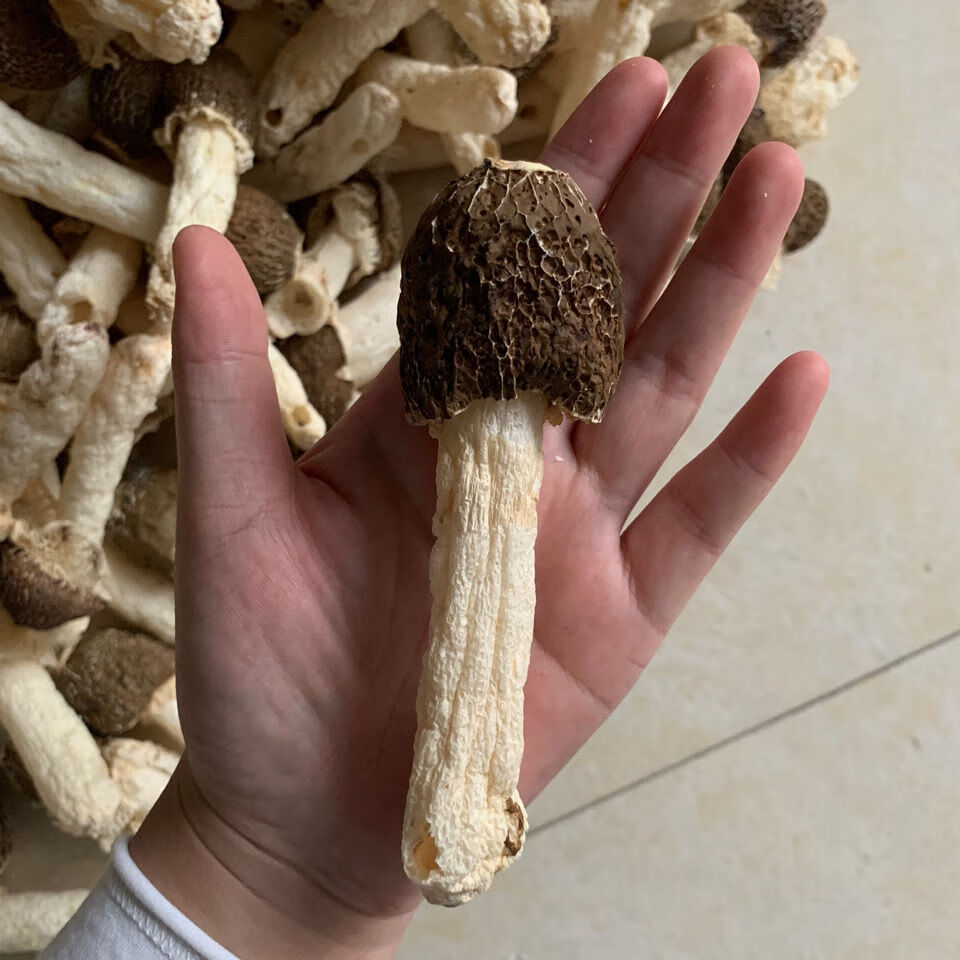 竹荪干货竹荪竹荪菌黑头竹荪干货特产煲汤材料 黑头竹荪250g【图片