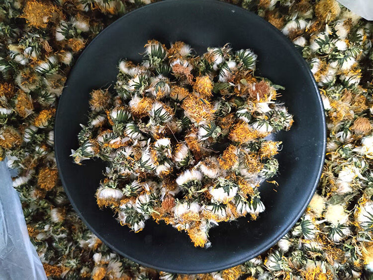 夜之君蒲公英花干花茶花朵东北天然特级晒干花苞花蕾蒲公英50g