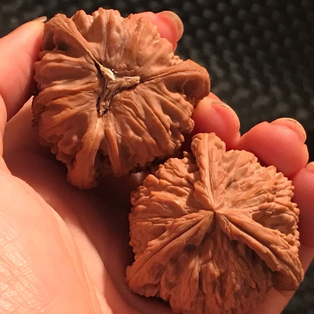 文玩核桃三菱文玩核桃麻核桃拼接工艺白狮子三棱sn3579